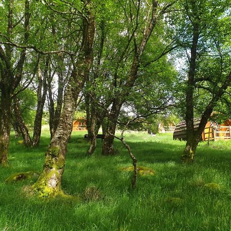 Glendalough Glamping - Adults Only Hotel Laragh Exterior photo