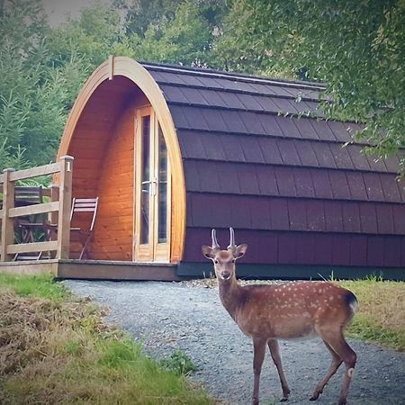 Glendalough Glamping - Adults Only Hotel Laragh Exterior photo