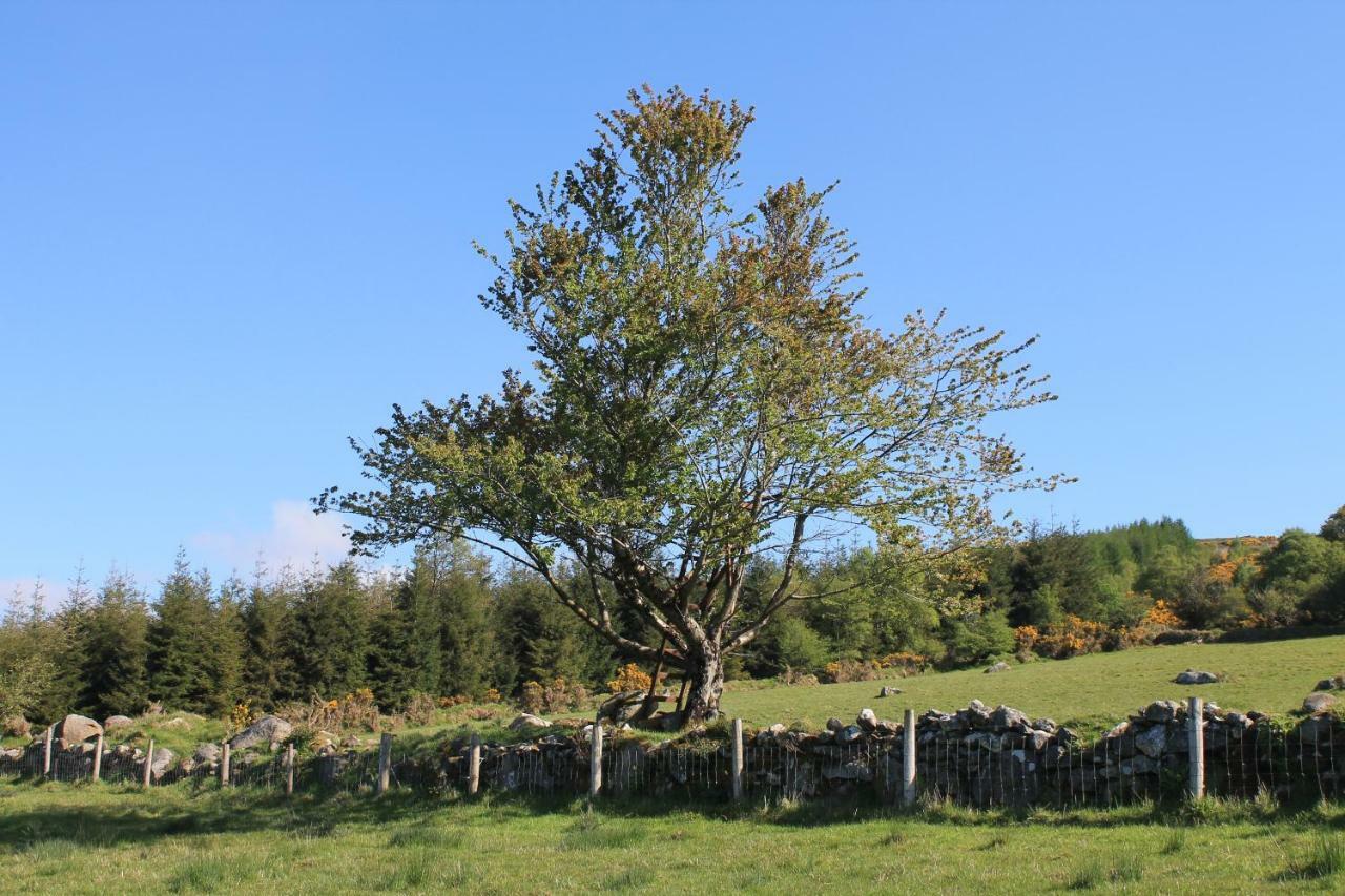 Glendalough Glamping - Adults Only Hotel Laragh Exterior photo